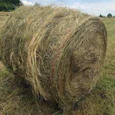 Hay Bales